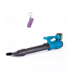 Cordless Electric Leaf Blower And A Keyholder