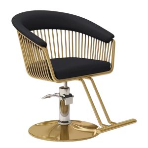Salon Chair for Hair Stylist